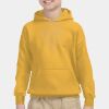 Youth Heavy Blend™ Hooded Sweatshirt Thumbnail